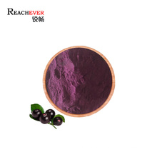 Factory Supply Acai Berry Powder Private Label Acai Berry Juice Extract in Bulk